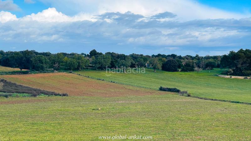 Foto bca8260f-1b15-47d3-a0e3-a5d7a08ccd40. Landgut in Felanitx poble Felanitx