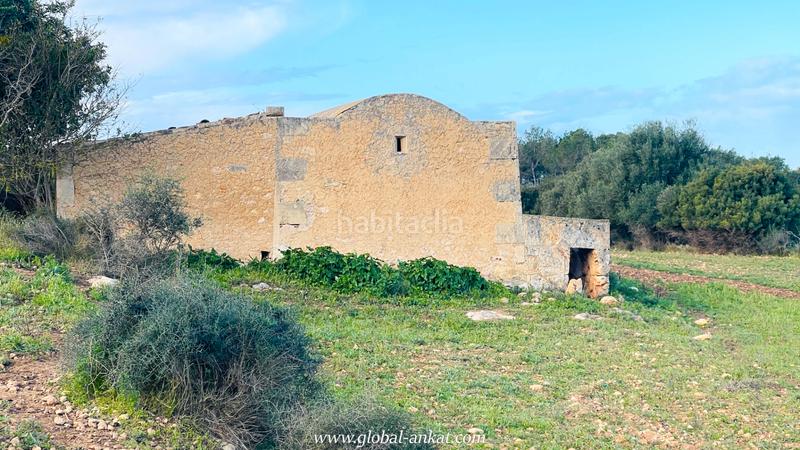 Foto f030f085-dcbb-4eb6-8b22-55b2a9b39df1. Landgut in Felanitx poble Felanitx