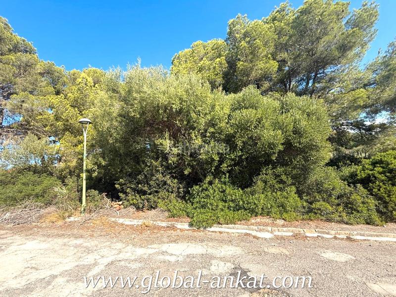 Foto 7444cf54-e588-4a07-a01a-e127b79d3894. Terreny residencial a Cales de Mallorca Manacor