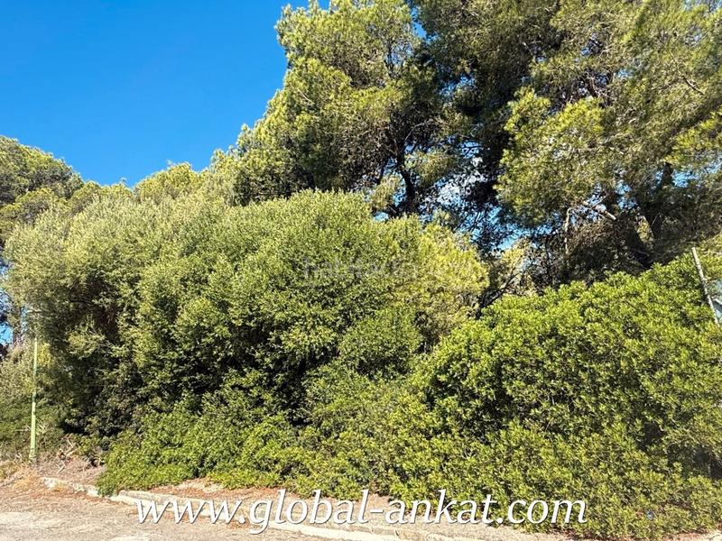 Foto 7f91ee49-2077-4105-a0f2-95d3eef003e7. Terreny residencial a Cales de Mallorca Manacor