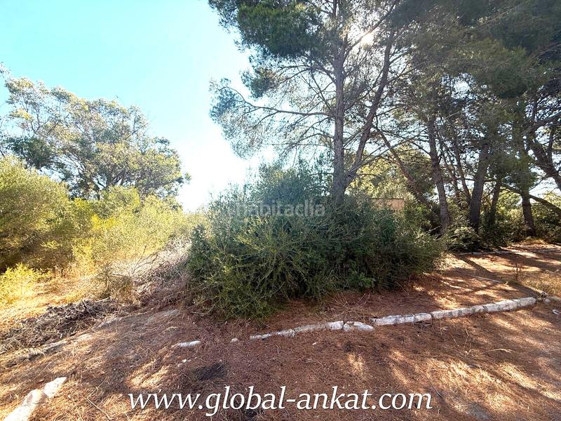 Foto d7744f92-fa0e-439b-84ce-8233093edf4a. Terreny residencial a Cales de Mallorca Manacor