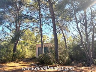 Terreny residencial a Cales de Mallorca