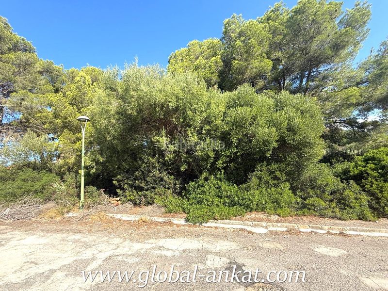 Foto 7444cf54-e588-4a07-a01a-e127b79d3894. Terreny residencial a Cales de Mallorca Manacor