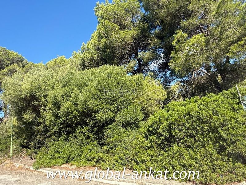 Foto 7f91ee49-2077-4105-a0f2-95d3eef003e7. Terreny residencial a Cales de Mallorca Manacor