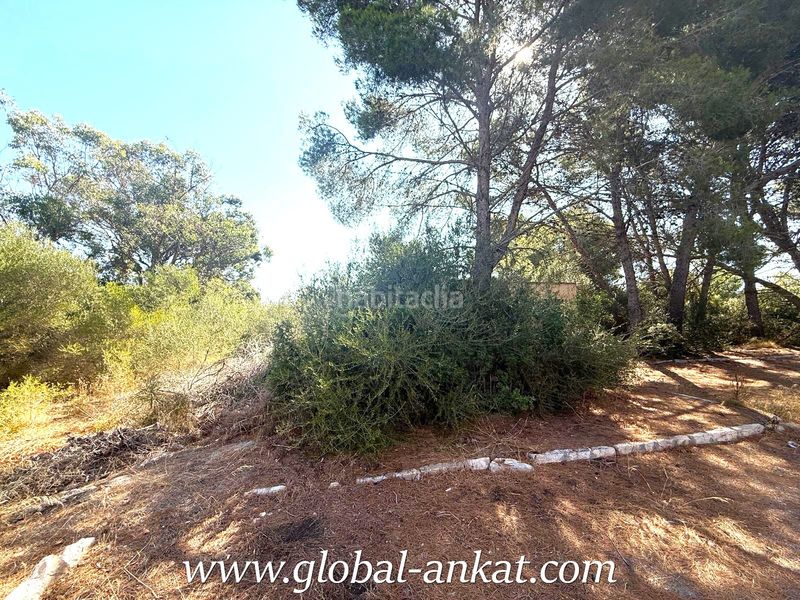 Foto d7744f92-fa0e-439b-84ce-8233093edf4a. Terreny residencial a Cales de Mallorca Manacor