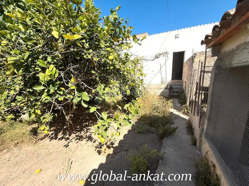 Foto c0903d43-462e-4513-8a5d-a29ce37af6a1. Aparcament cotxe a Felanitx poble Felanitx