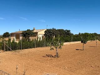 Mas à Porreres. Oportunidad única: finca rústica mallorquina con vistas a monti-