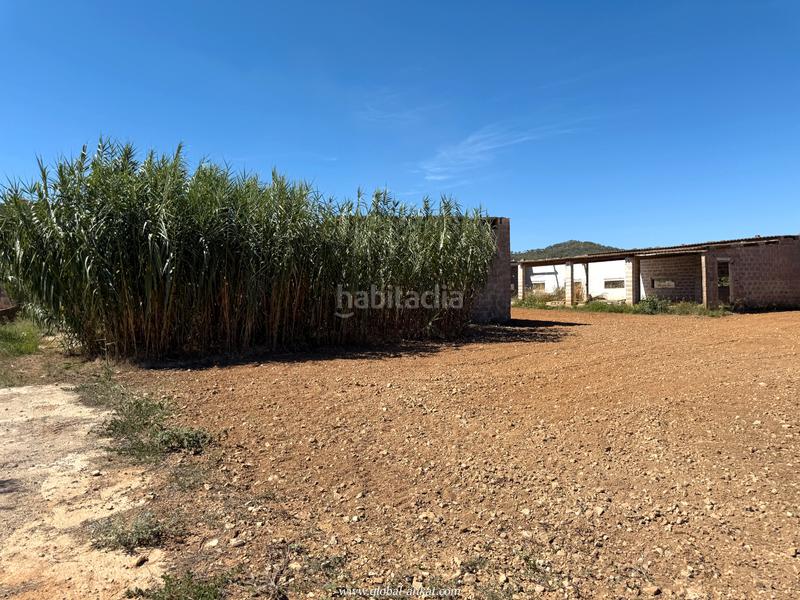 Foto 518e06cf-c084-4c3d-a500-d90d0a772706. Masia amb xemeneia a Porreres