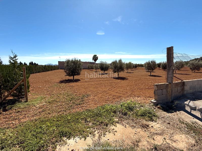 Foto 703793d5-5086-4e1d-8a29-26e61b74fef3. Masia amb xemeneia a Porreres