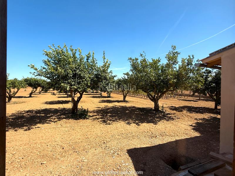 Foto 83c8f243-0646-4ef8-a386-aaa4d58f3acd. Masia amb xemeneia a Porreres