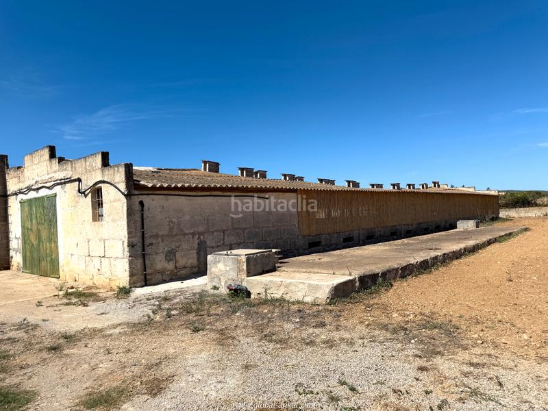 Foto 871c1c8b-aac1-40ec-9b42-e79048b75d3a. Masia amb xemeneia a Porreres