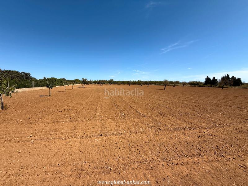 Foto 8a01f8c2-f210-4d39-a494-9353f5d3ea36. Masia amb xemeneia a Porreres