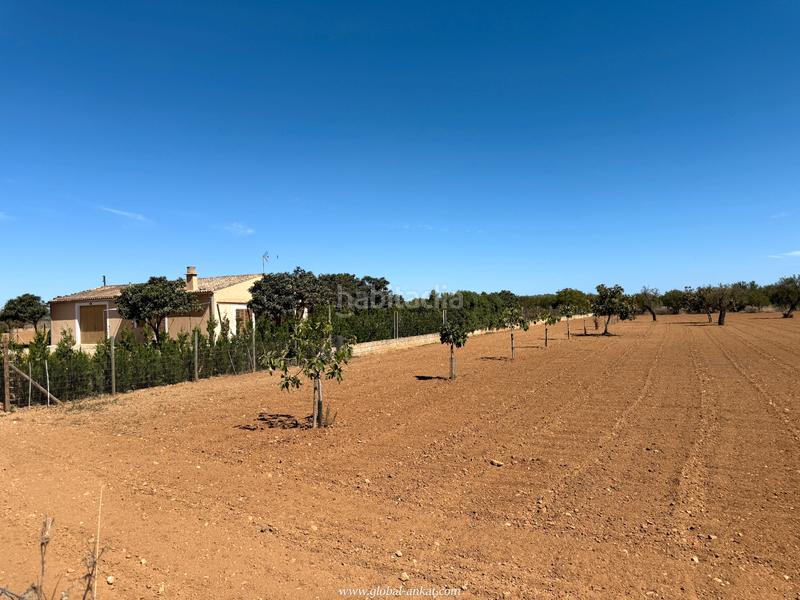 Foto adfb5622-870a-4f75-a216-dc2c64edd5bd. Masia amb xemeneia a Porreres