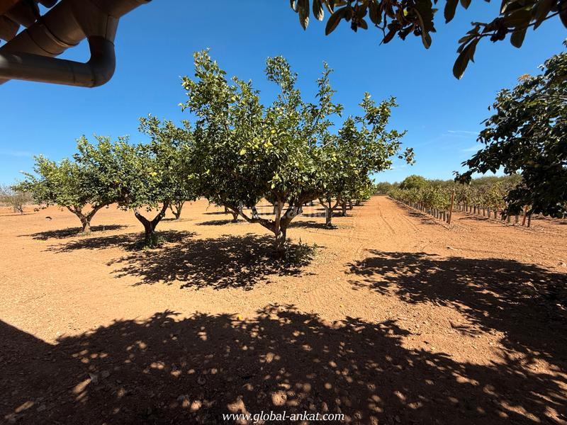 Foto b30e53f2-907f-48b7-9134-3f3aa0441ffd. Masia amb xemeneia a Porreres