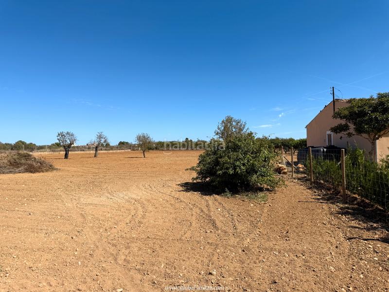 Foto c60319f3-b0ba-4365-b99b-f7a13ad9bc08. Masia amb xemeneia a Porreres