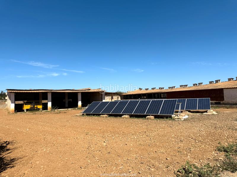 Foto c9221c9a-ff33-4855-b7ef-fcd5db8c2f80. Masia amb xemeneia a Porreres