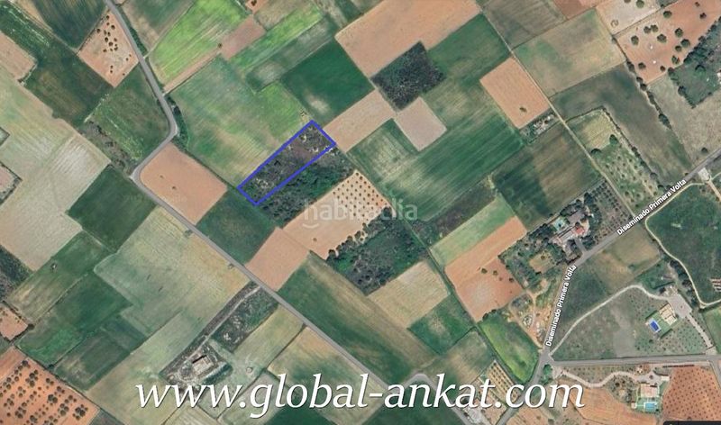 Foto ea0b60a6-8630-4d60-9cb1-5b0db991a0b2. Finca rústica a Felanitx poble Felanitx