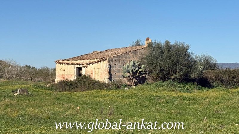 Foto 695f10b2-4147-45bd-bdf1-42d937e04aa8. Wohngrundstück in Petra