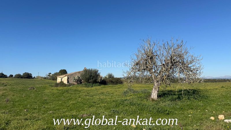 Foto 7368a135-246f-4979-99b3-1ac95c20b1cf. Wohngrundstück in Petra
