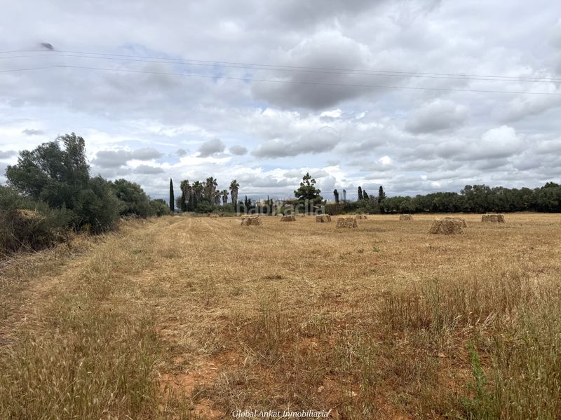 Foto 36fc5242-3261-46d9-afb9-4e054423348a. Finca rústica a Felanitx poble Felanitx