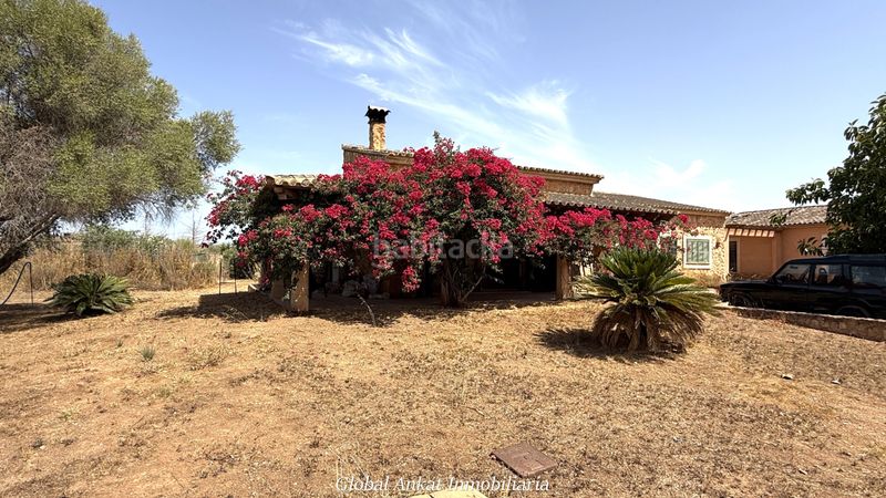 Foto a33a982c-b8a6-4469-9292-2b1d80719384. Finca rústica a Llucmajor interior Llucmajor