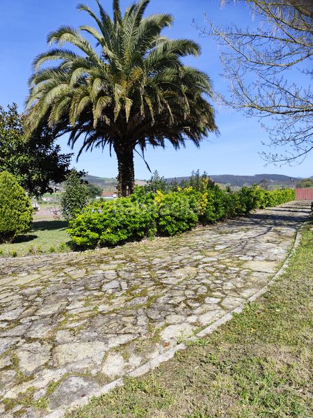 Foto 3c542fd0-a39b-49ec-8178-827a7f98837e. Xalet amb xemeneia calefacció aparcament piscina a Bareyo