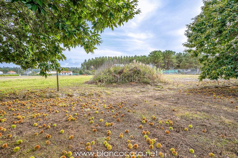 Foto 02925f2b-f14b-4b72-9375-79cd52fbd6d6. Finca rústica a Zas