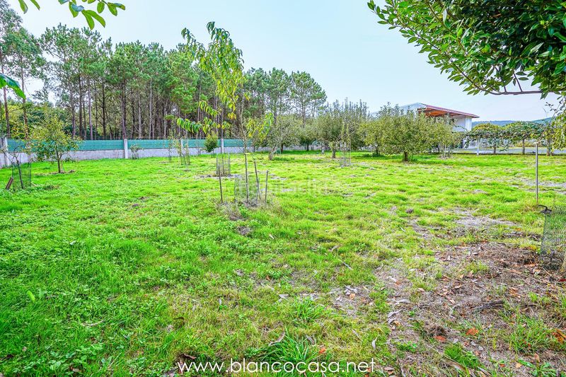 Foto 05cfe20e-eed3-4d70-9a0c-b6bea0be2d1d. Finca rústica a Zas