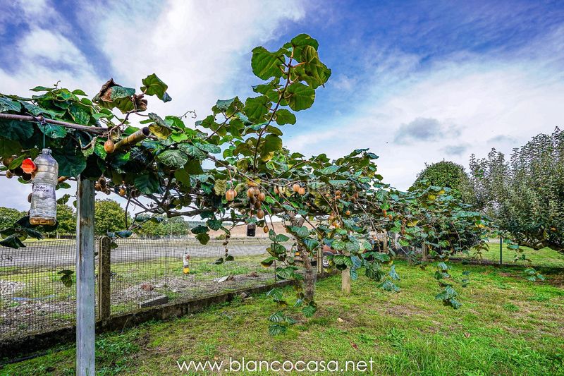 Foto 1849d9d7-31b5-4a5b-afec-ebfe1c81a6a5. Finca rústica a Zas