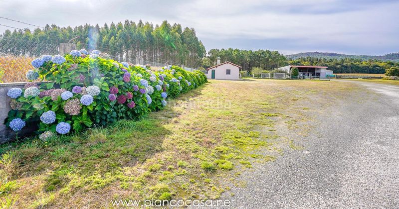 Foto 2e7dd913-5869-4cb5-9311-56c2d0877f19. Finca rústica a Zas