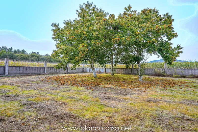 Foto 62ff8874-35a6-4567-b31e-9e1c7ae6f7bf. Finca rústica a Zas