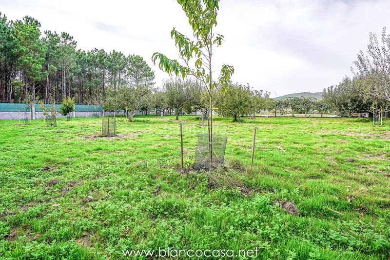 Foto b5ff38ac-c05a-44c0-8fb5-07c8c18fdbeb. Finca rústica a Zas