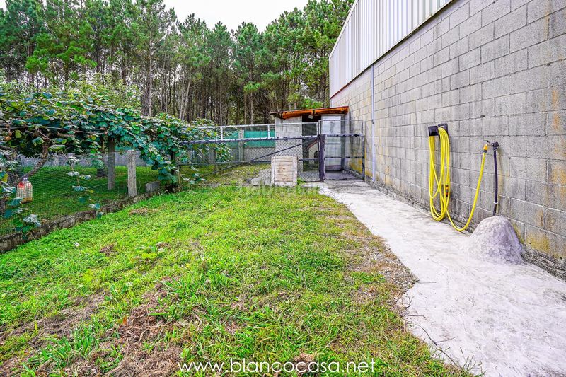 Foto d326168b-60aa-49b7-a7ba-afca84eb4171. Finca rústica a Zas