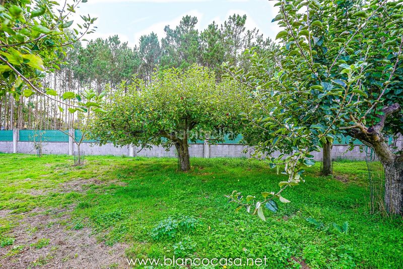 Foto d5391568-3c72-4638-b5e8-a0cd95d39e00. Finca rústica a Zas