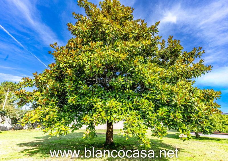 Foto bec9f99c-a6e0-4d8e-95fa-a425e63bdea2. Casa  con gran terreno en xoane da estrada, 389 m construidos en parcela de 1.637 m en Carballo