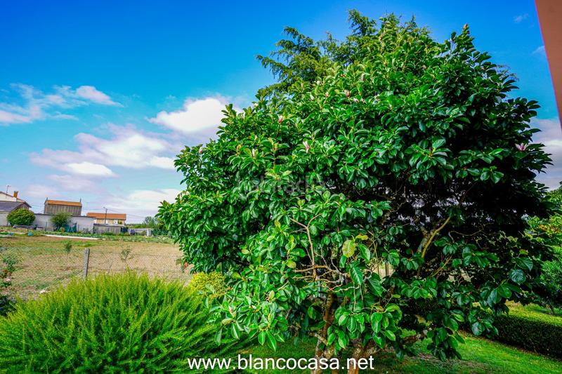 Foto 8bc66a5f-2f74-468c-9e3c-3317ba122142. Casa  con terreno en Carballo