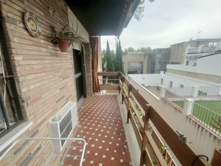 Rent Flat in Calle el nogal 8. Zona camping - avda. brillante - piso para estudiantes