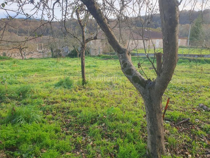 Foto 43954372-1011-483e-a6c1-4603daec9325. Casa inmobiliaria fincas saviñao , vende preciosa casa cerca de escairón ( ribeira sacra lucense ) en Saviñao (O)