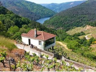 Masia a Saviñao (O). Vivienda-bodega con vistas al miño