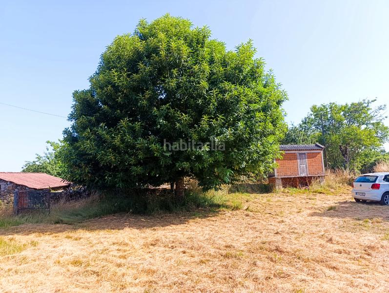 Foto 6a8e5721-eb81-48ec-bf15-2ace3c161259. Masía casa de piedra y gran terreno en Saviñao (O)