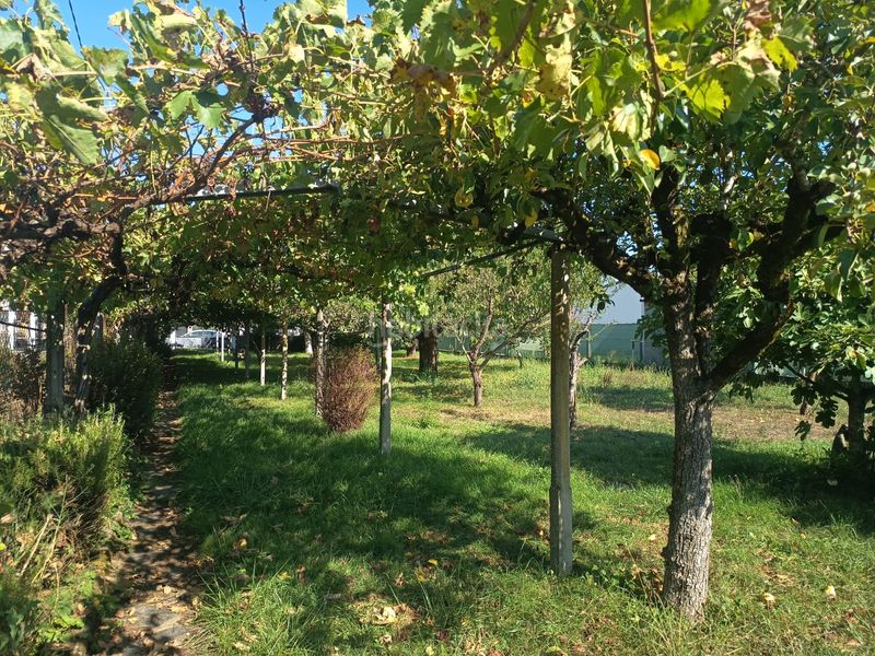 Foto 70a0d80d-64c8-4b6e-8263-9bcb85195e19. Wohngrundstück in Monforte de Lemos