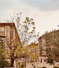 Appartement  Antonio alzaga etorbidea. Apto en kabiezes