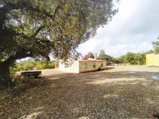 Finca rústica a N/a. Finca rústica en venta próxima a la nava de santiago