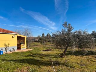 Finca rústica a Sur. Venta finca rústica carretera don álvaro