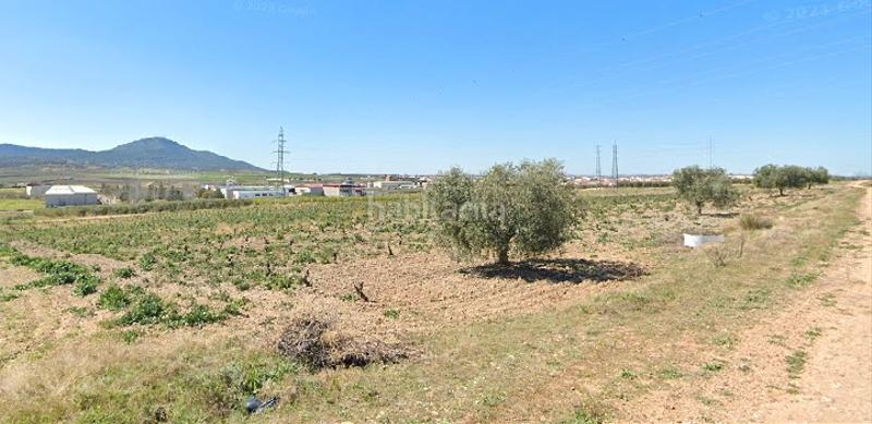 Foto ef6cf324-d7cb-4d9d-a9ff-169c200f248e. Solar industrial suelos de uso industrial en Calamonte