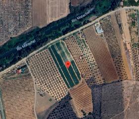 Propriété à Zarza (La). Terreno rústico en venta – 2,2 ha la zarza (badajoz)