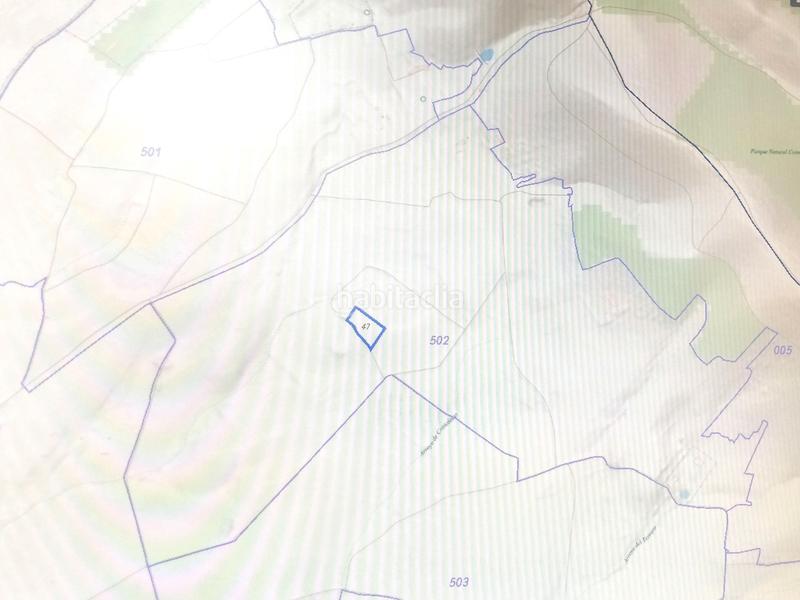 Foto 11a17a50-56a0-45f0-93ab-7dc71d6e8bef. Finca rústica a Mirandilla