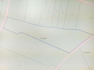 Rural plot in Mirandilla. Parcela rústica en venta en el entorno de mirandilla