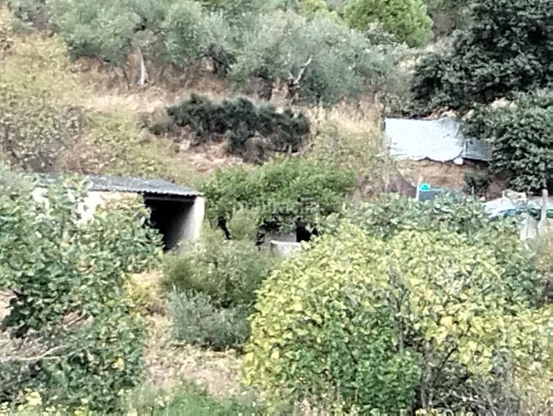 Foto 06cff4cb-dcf2-4bbf-898e-aa3d38ce0ed4. Chalet con camino parcheggio piscina in Campus Universitario Cáceres