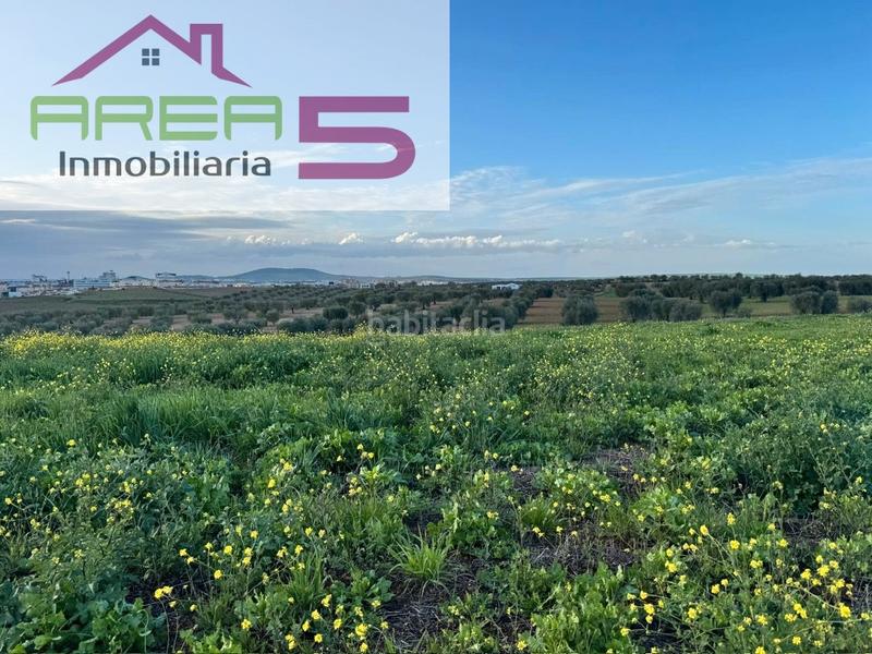 Foto 4cebf0d5-35e2-49b7-aaf9-71d05a0f9916. Fondo rustico in Sur Mérida